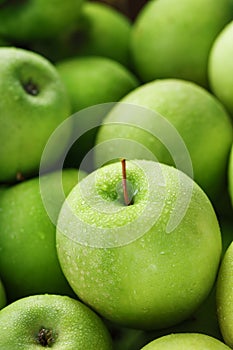 Juicy Green apple close-up with dew drops.