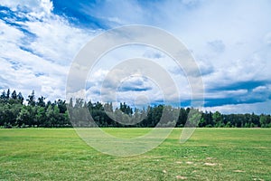 The juicy green field with a short-haired well-groomed lawn in summer day. On a background the wood and high the blue sky with bea