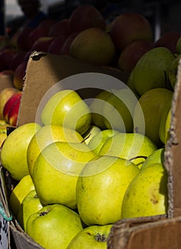 Juicy green red apples in cartons on counter of farmer`s market selective focus