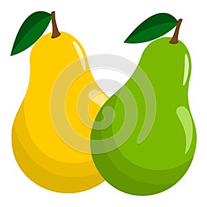 Juicy Green And Yellow Pear Fruit Vector