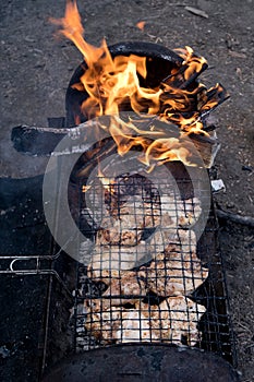 Juicy grilled chicken meat. The meat is cooked on a hot charcoal barbecue grill, fire and sparks from below. Dish for a grilled