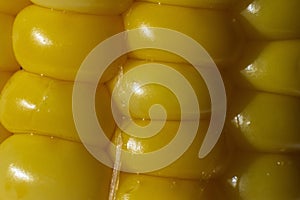 Close-up of sweet corn, yellow maize photo