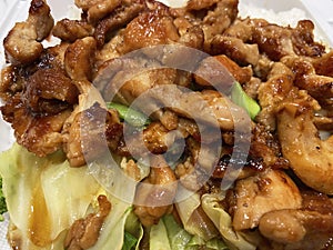 Juicy Japanese Food Chicken Teriyaki Carryout photo