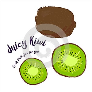 Juicy Kiwi. Fresh fruit drawn by hand. Vector illustration