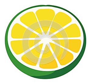 Juicy lemon slice