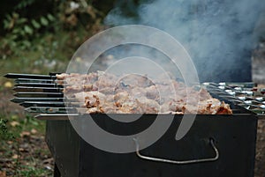 Juicy meat skewers sizzle on a grill with smoke rising, indicating delicious barbecue cooking outdoors