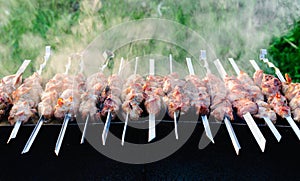 Juicy mouth-watering skewers of meat, which is fried with a smoky summer evening in the nature