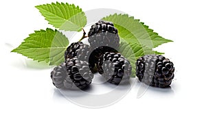 Juicy mulberries on a green leaf backdrop. Ripe and fresh berries. Concept of raw food, nature's candy, seasonal