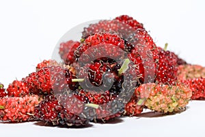 Juicy mulberry fruit Morus indica on white background