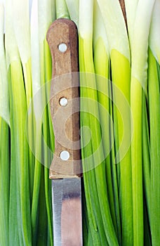 Juicy onions napiform