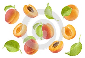 Juicy orange apricot with pink side and green leaves pattern isolated on white background, collection.