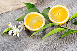 Juicy Orange cut in two parts and neroli, flowers of orange tree, on rustic wood background.