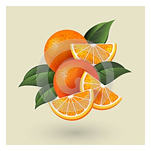 Juicy orange fruits. Vector illustration. Whole fruits, orange pieces and some leaves. Fresh dessert.