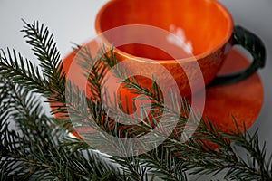 Juicy orange tea pair on the background of fir branches.A feeling of freshness and anticipation of the New year