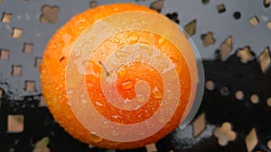 A juicy orange tomato holds incredible beads of water