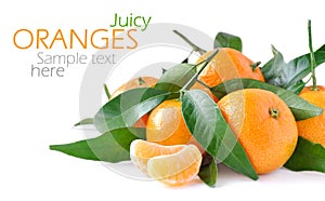 Juicy oranges