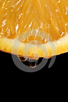 Juicy oranges photo