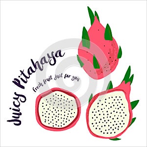 Juicy Pitahaya. Fresh fruit drawn by hand. Vector illustration