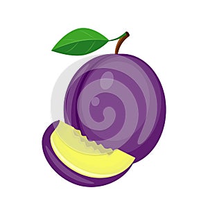 Juicy plum with green leaf and plum slice vector illustration is