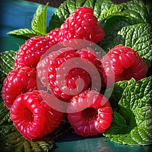 Juicy raspberries displayed on a bed of fresh mint leaves, allowing space for descriptive text