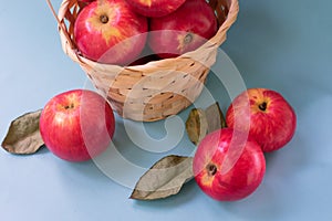 Juicy red apples on blue background. Top view