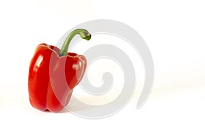 Juicy red Bulgarian pepper with a green tail lies on a white background