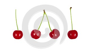 Juicy red cherries set isolated on white background. Ripe berries on a branch