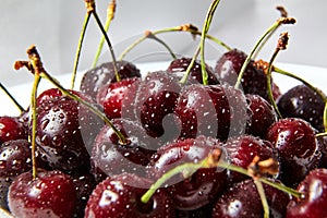 Juicy red cherry with drops of water on berries