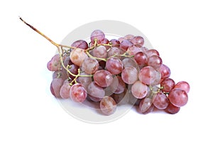 Juicy Red Grape