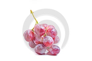 Juicy Red Grape