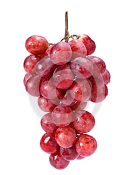 Juicy Red Grape