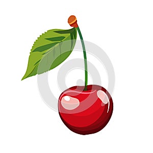 Juicy red single cherry with leaf. Isolated vector. Summer clipart for flat design