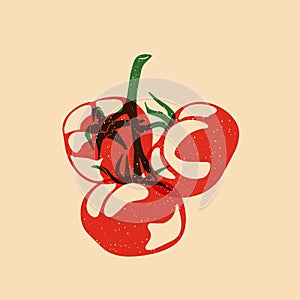 Juicy red tomato. Vector illustration with Riso print effect