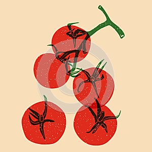 Juicy red tomato. Vector illustration with Riso print effect