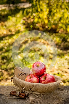 Juicy ripe apples in a basket on a natural natural background. Red organic apples.