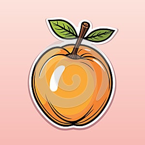 Juicy and ripe apricot. Color vector illustration