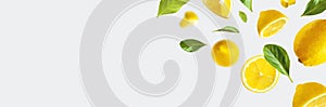 Juicy ripe flying lemons, green leaves on light gray background. Creative food concept. Tropical organic fruit, citrus, vitamin C