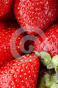 Juicy, ripe natural red strawberries without GMO. Strawberry - full frame. Close-up