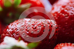 Juicy, ripe natural red strawberries without GMO. Strawberry - full frame. Close-up