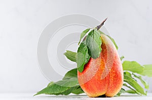 Juicy ripe orange pear with young green leaves closeup in soft light white interior. Healthy dieting food.