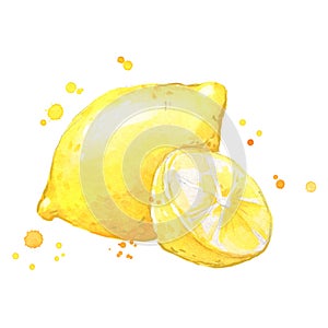 Juicy ripe yellow lemon watercolor ilustration photo