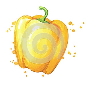 Juicy ripe yellow sweet bell pepper watercolor ilustration