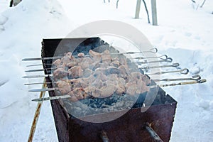 Juicy roasted kebabs on the BBQ