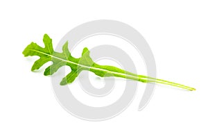 Juicy rucola leaves  on a white background.