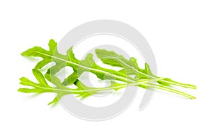 Juicy rucola leaves  on a white background.