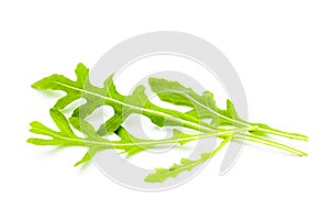 Juicy rucola leaves  on a white background.