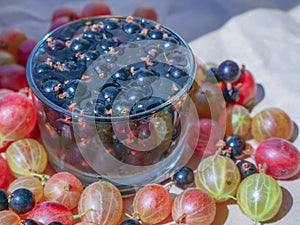 Juicy seasonal berries and a glass of water with ice. Summer fruits concept