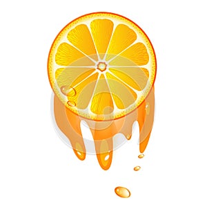 Juicy slice of orange fruit photo