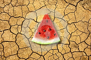 A juicy slice of watermelon lies on dry ground.