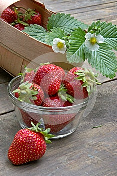 Juicy strawberry